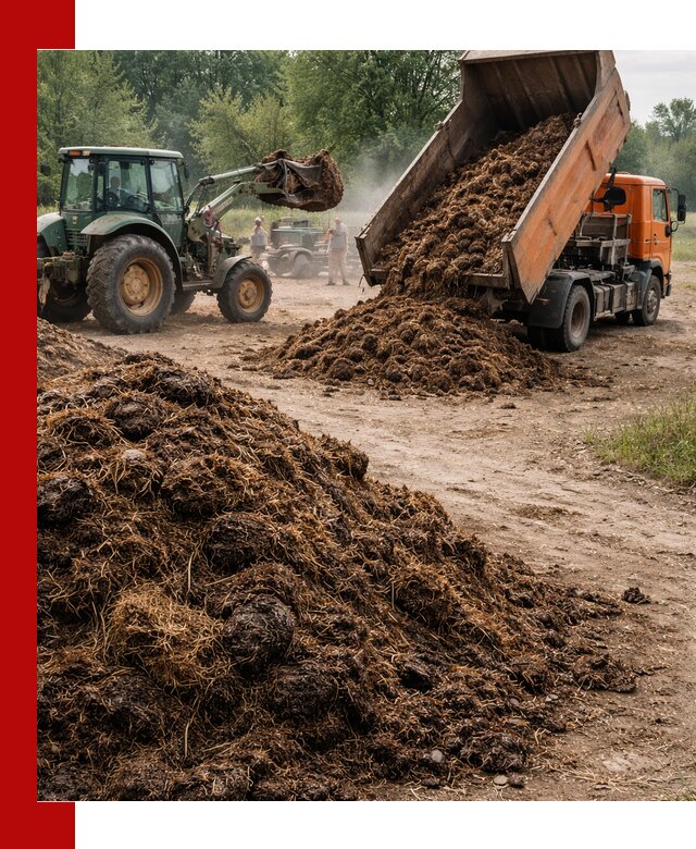 Доставка навоза самосвалами в Новоуральске для сельхозпотребностей